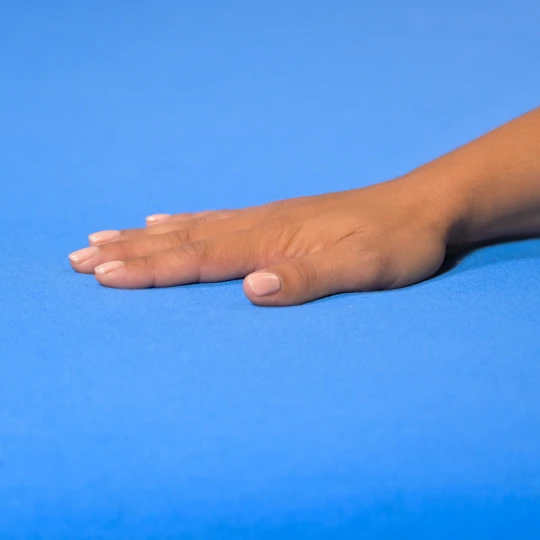 JERSEY-Blatt dunkelblau