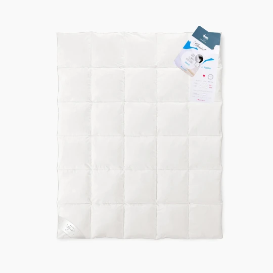 Gänsedaunen-Steppdecke 200x220